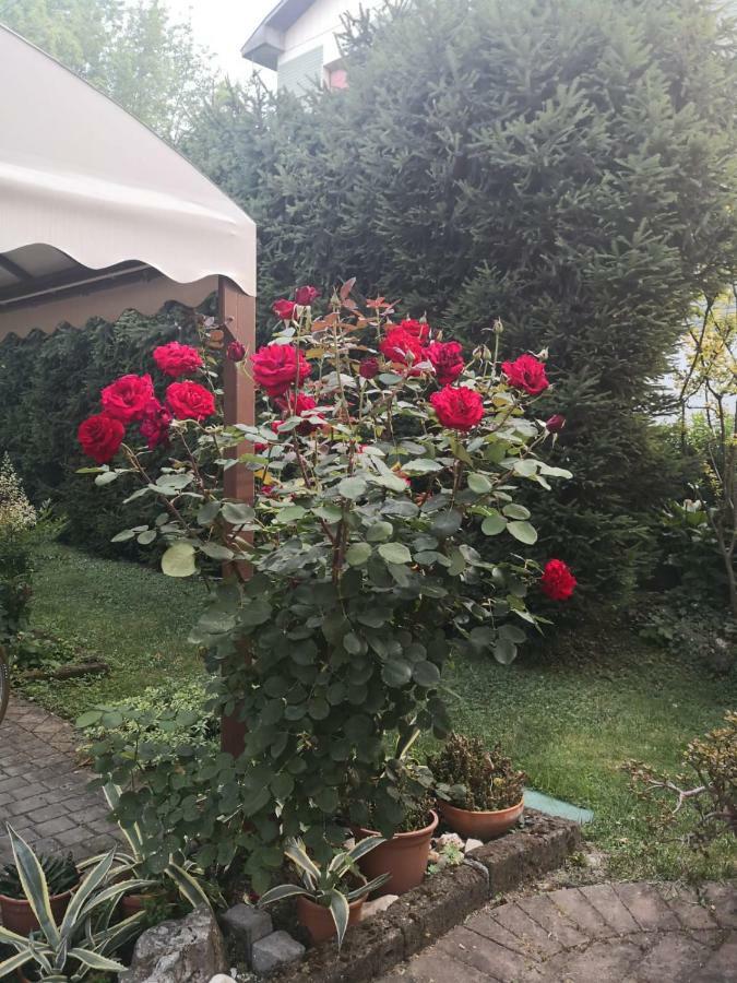 מלון פוטנלאטו La Casa Di Tino מראה חיצוני תמונה